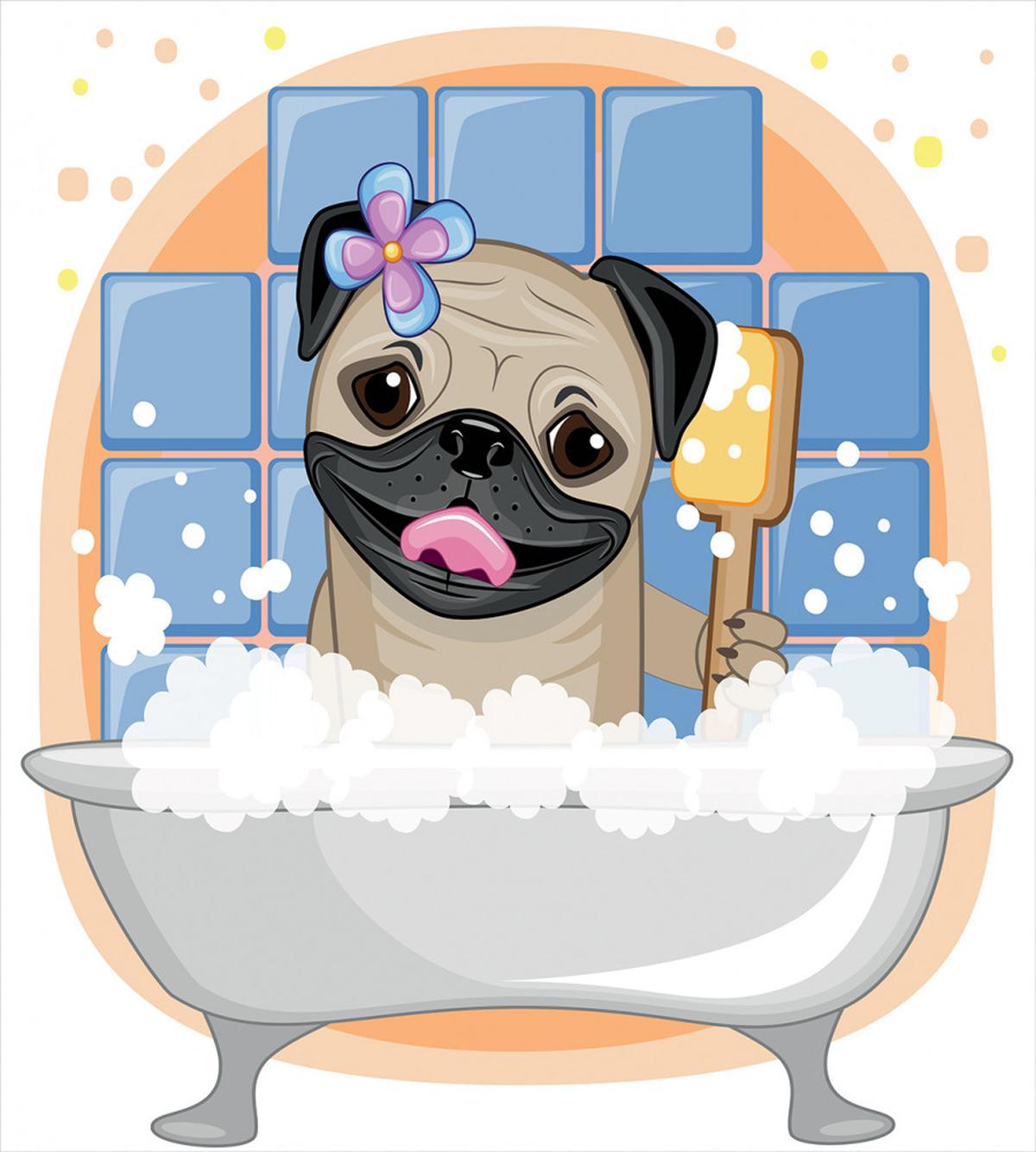 Dog Bath Caricature Funny — Pattern