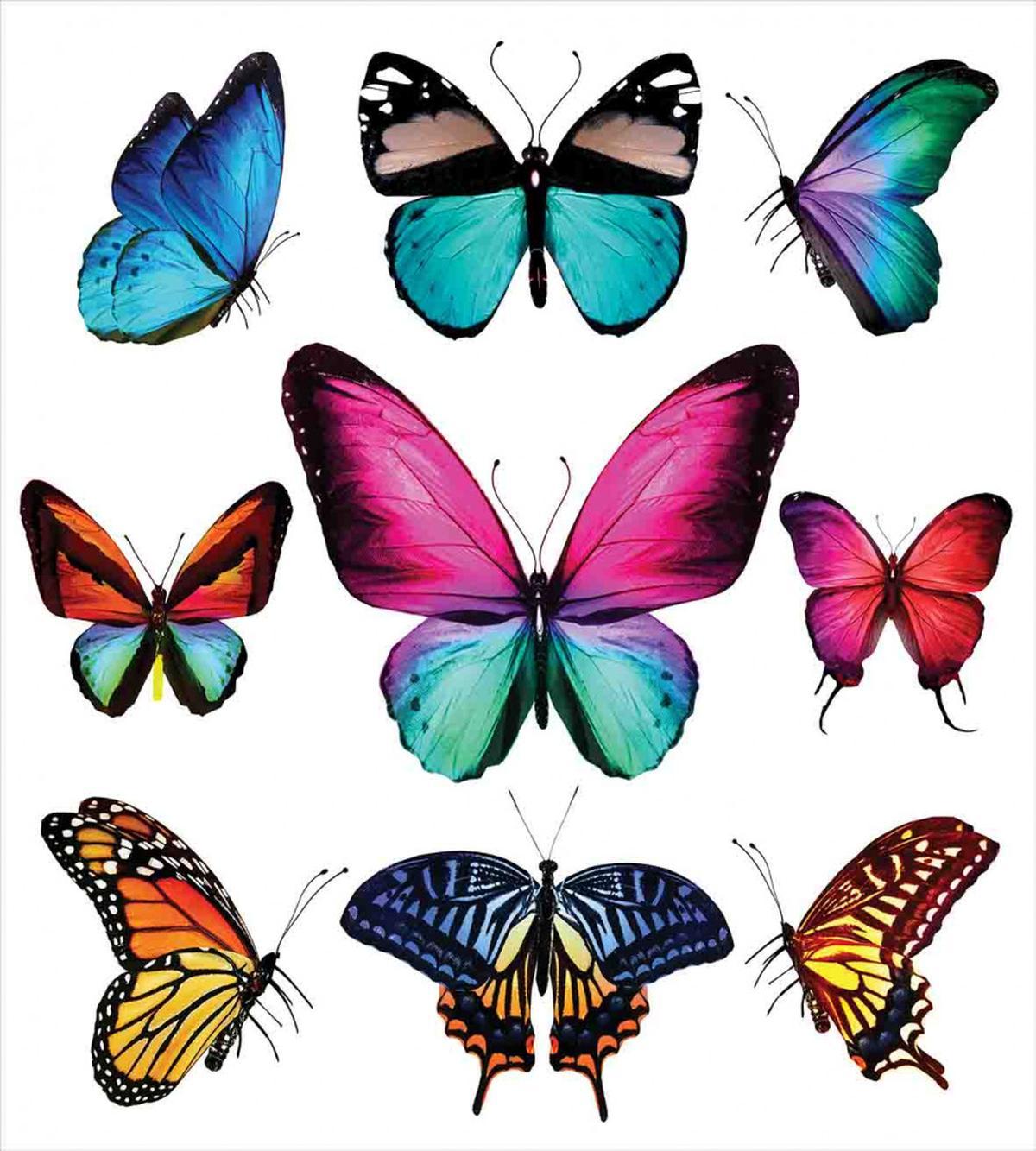 Vibrant Butterflies Set — Pattern