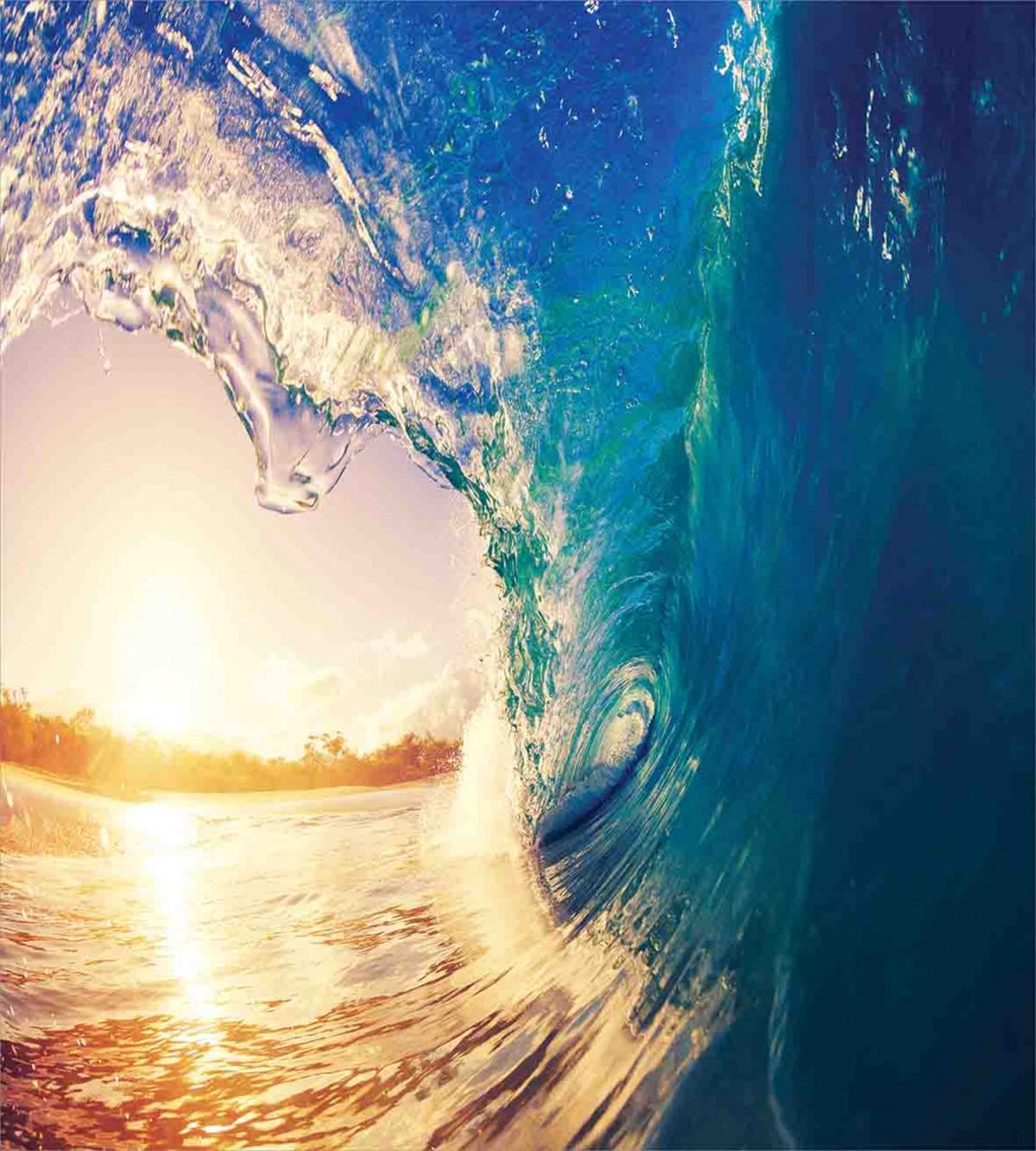 Tropical Trees Shoreline — Pattern