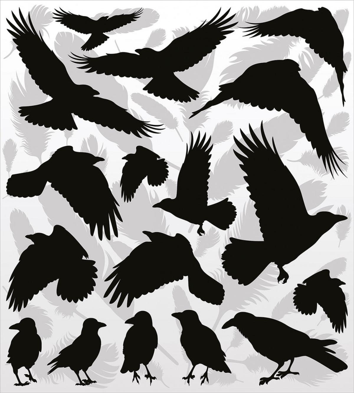 Birds and Feathers — Pattern