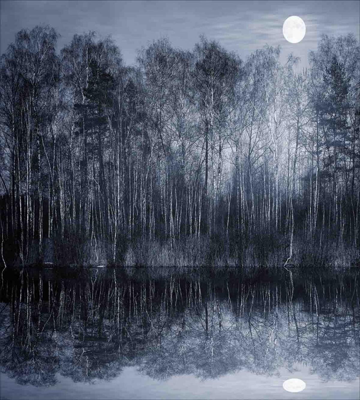 Night Woodland by the Lake — Pattern