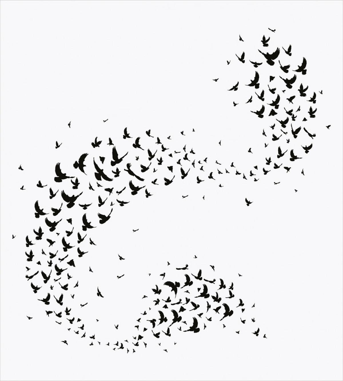 Flock of Flying Birds — Pattern