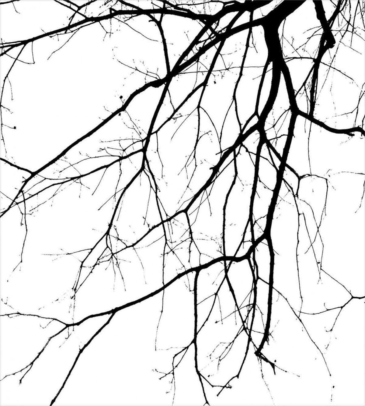 Leafless Tree — Pattern