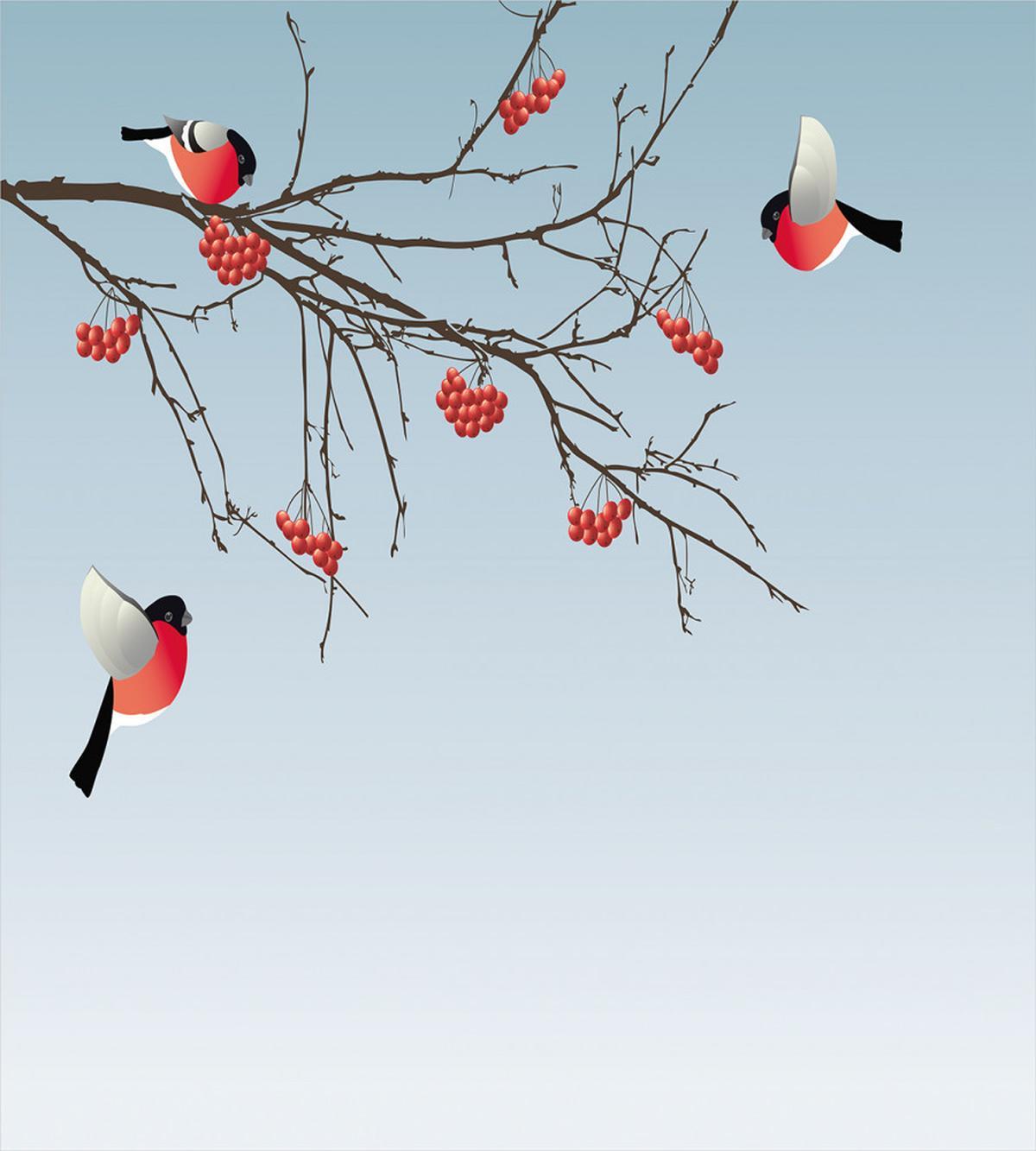 Bullfinch Birds Branches — Pattern