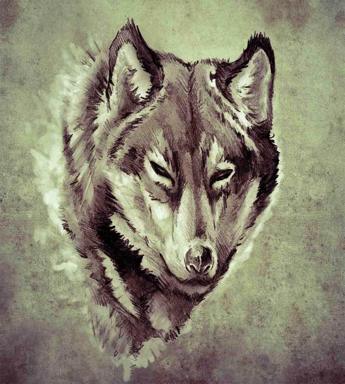 Winter Wild Wolf Forest — Pattern