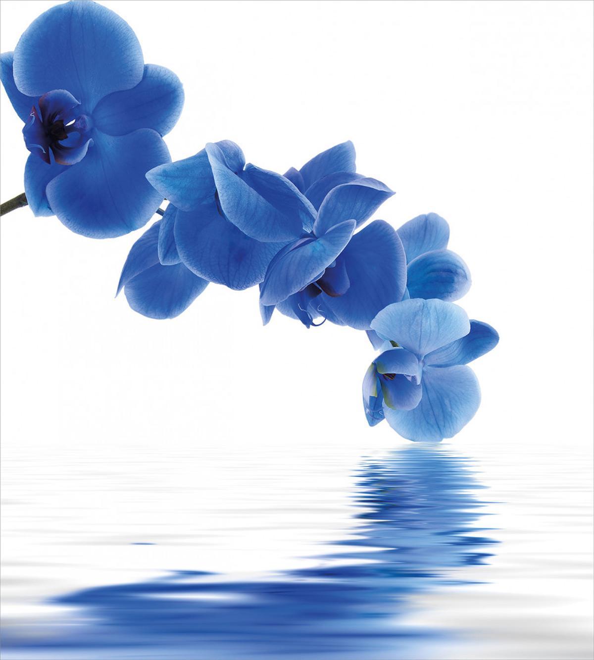 Orchid Bridal — Pattern