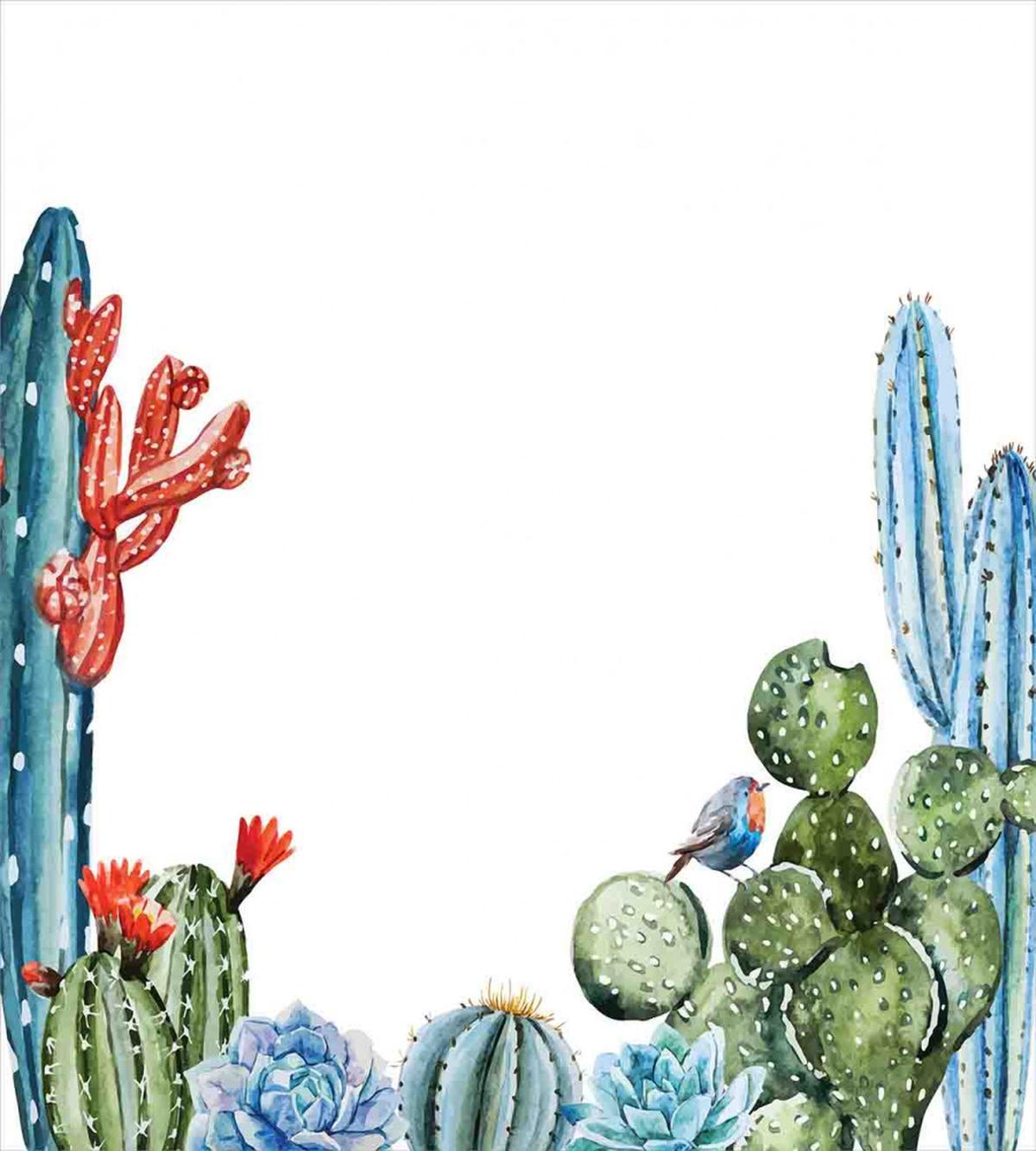 Cactus Flowers Birds — Pattern
