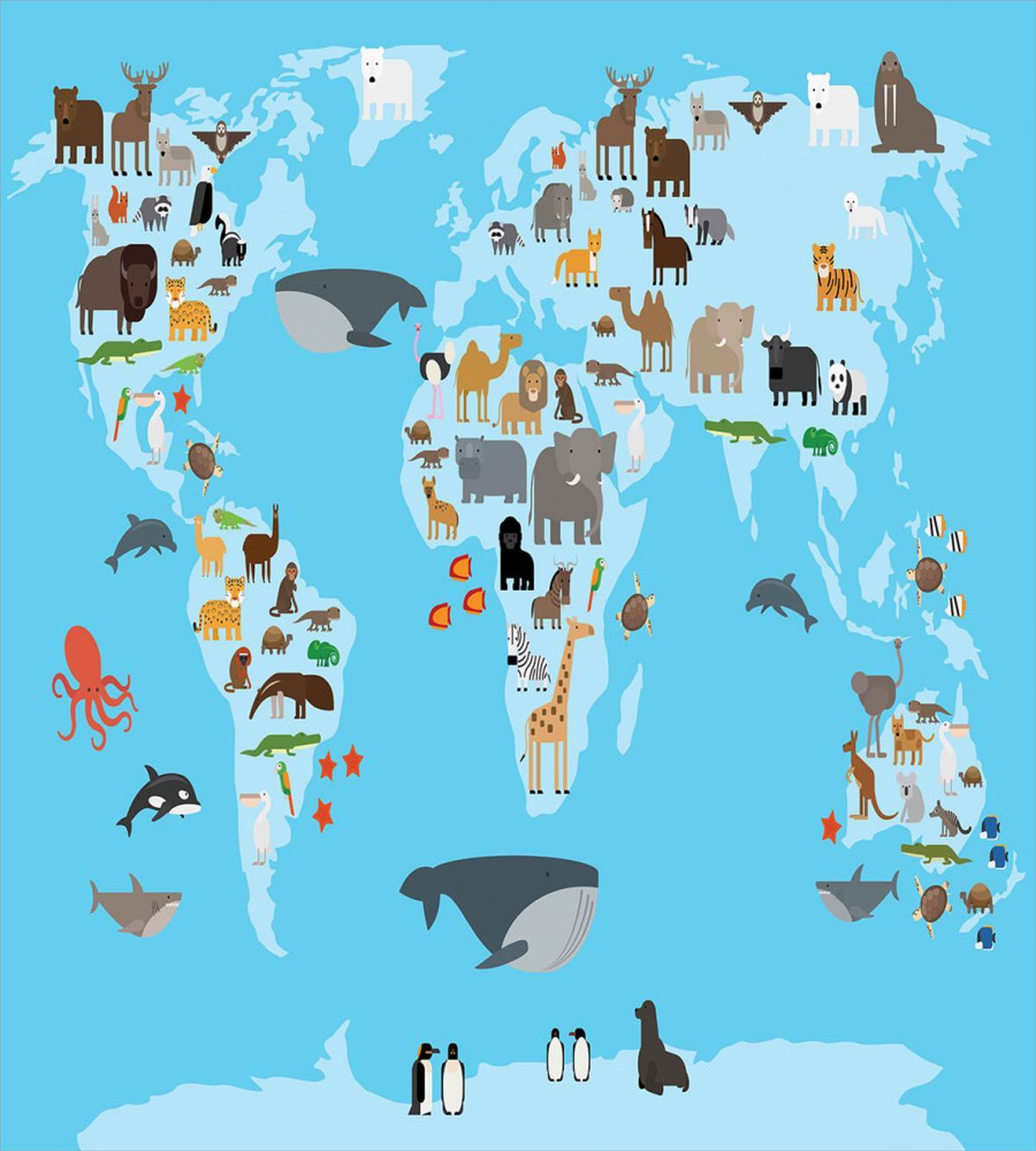 Guide Animals World Map — Pattern