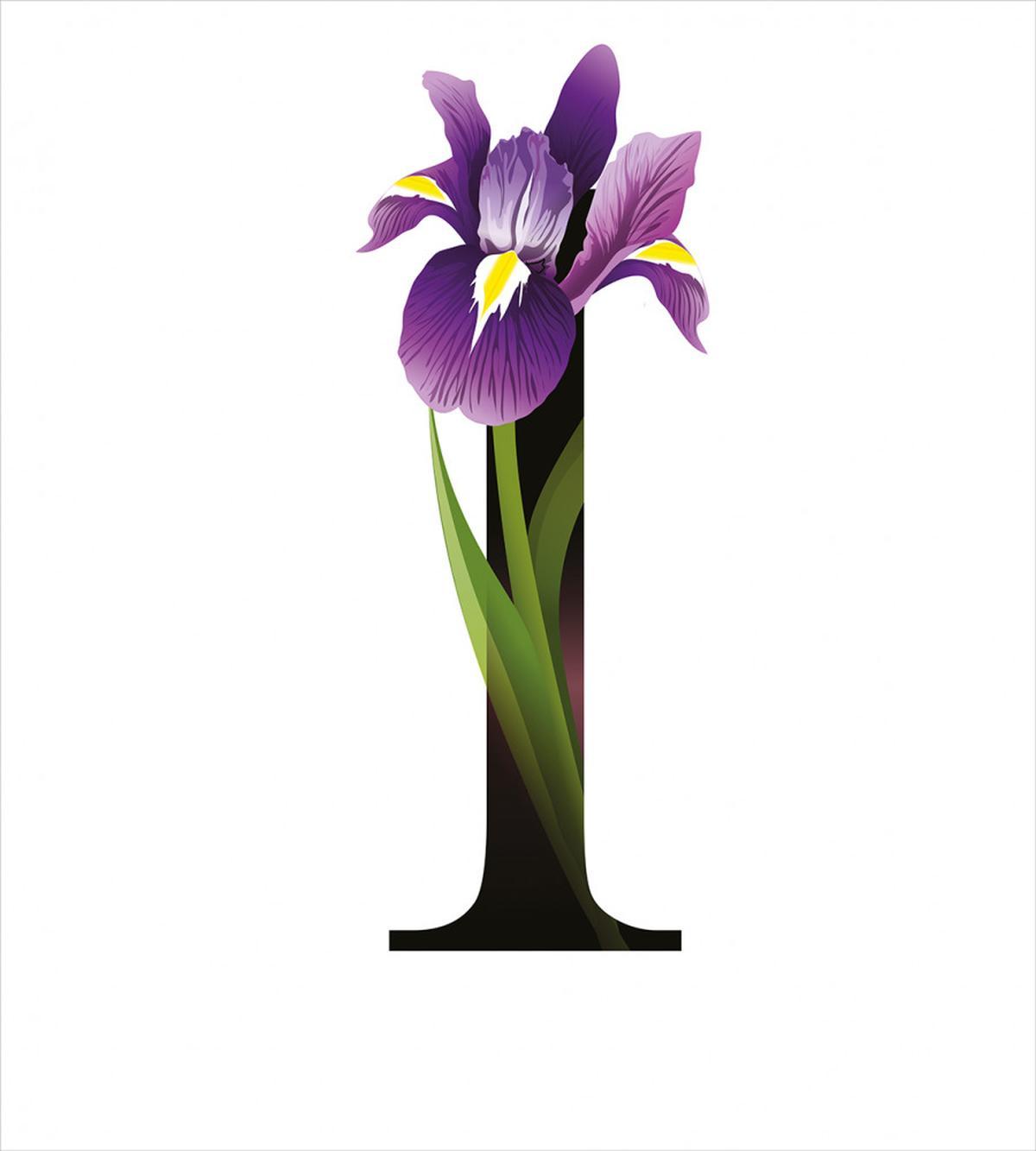Iris Flowers Capital I — Pattern