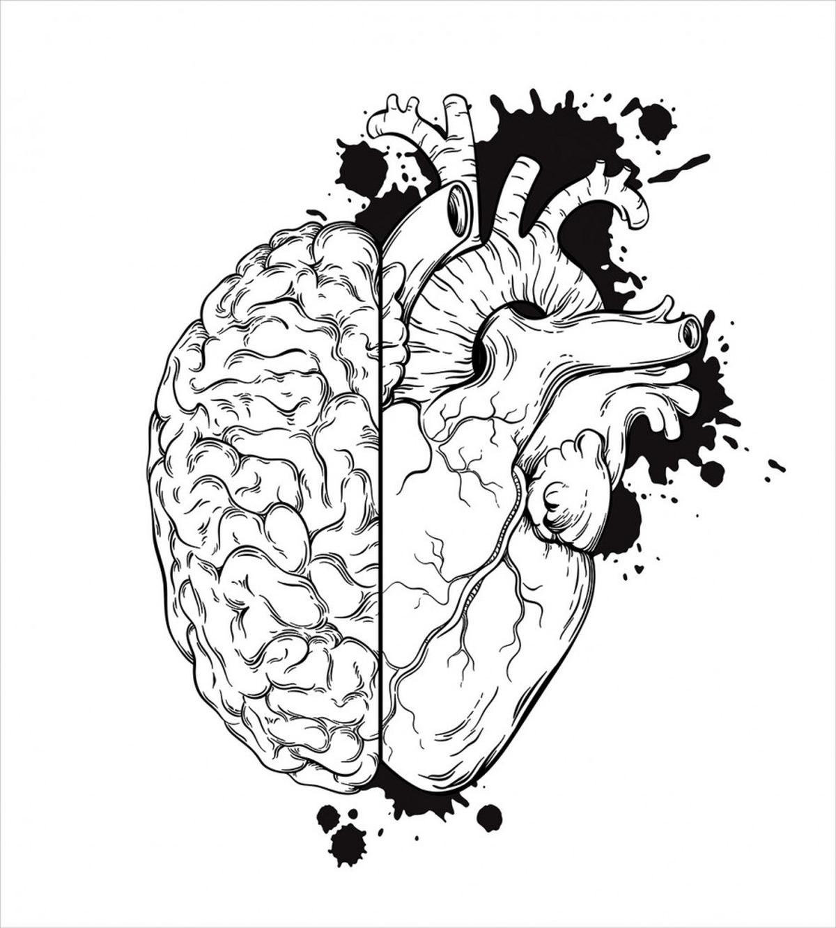 Human Heart and Brain Art — Pattern