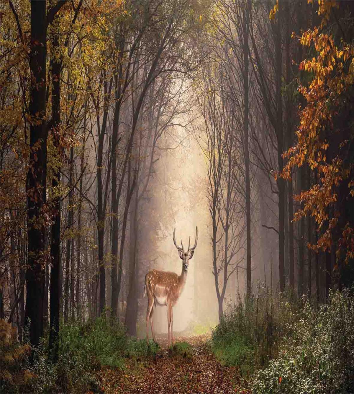 Deer Mystical Forest — Pattern