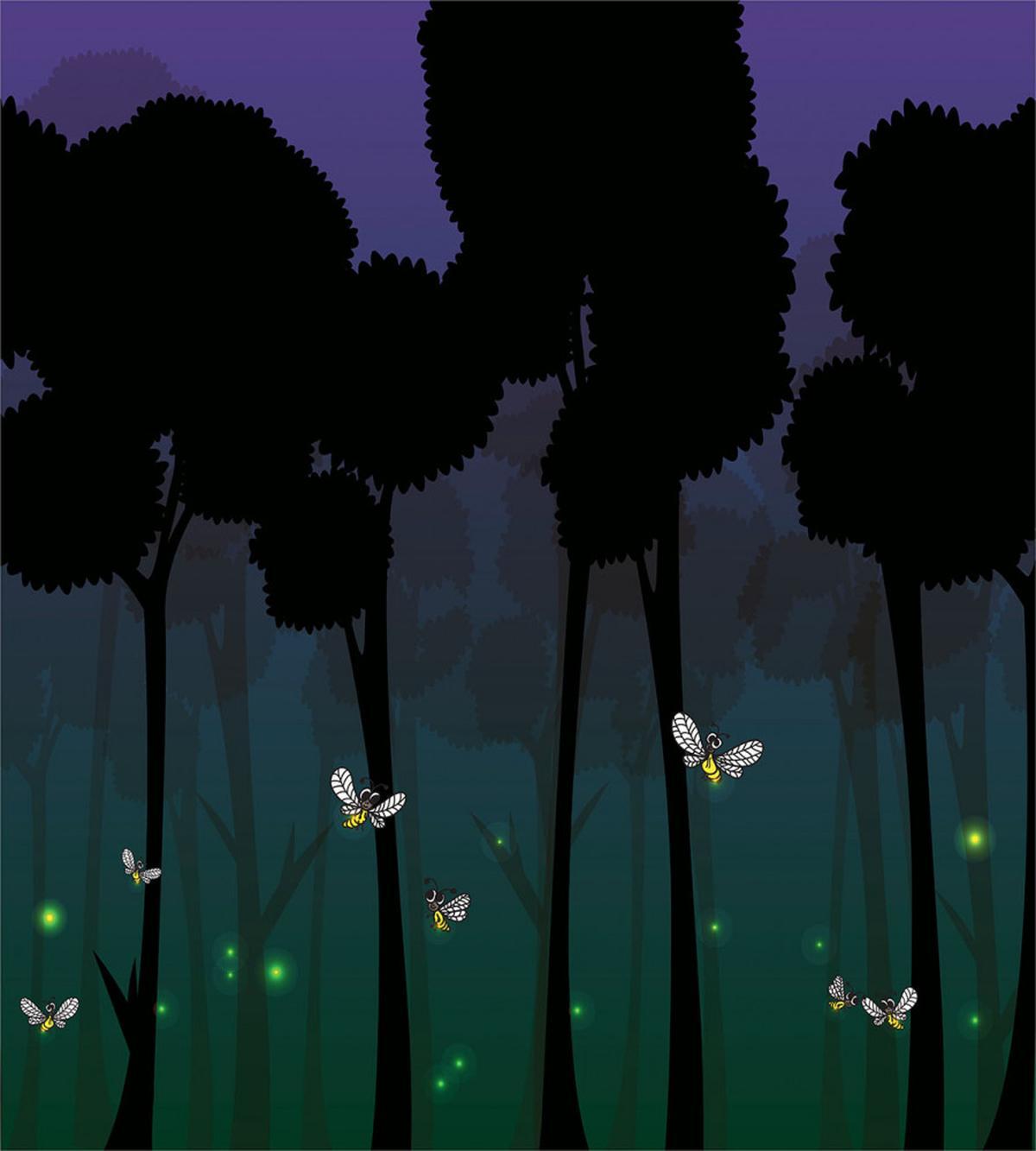 Woodland Night Cartoon Kids — Pattern