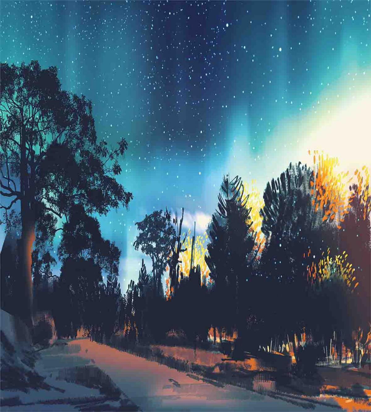 Aurora Borealis Night — Pattern