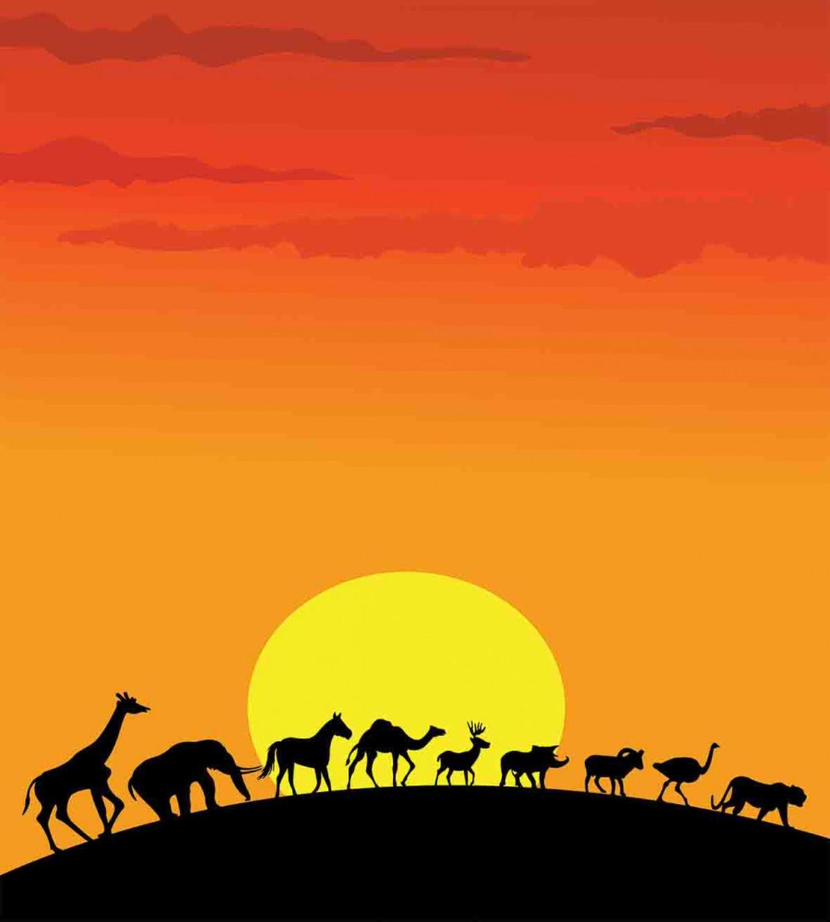 Animals Sun Silhouette — Pattern