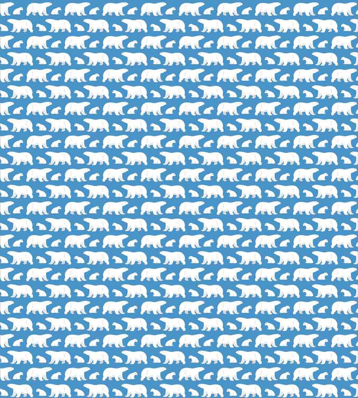 Cold Lands Mammals — Pattern