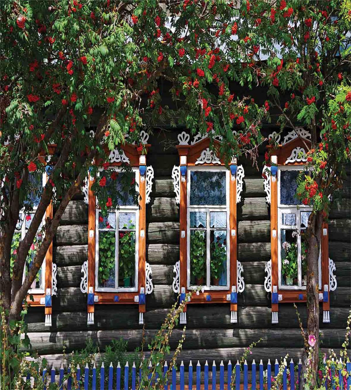 Ornate Wooden Shutters — Pattern