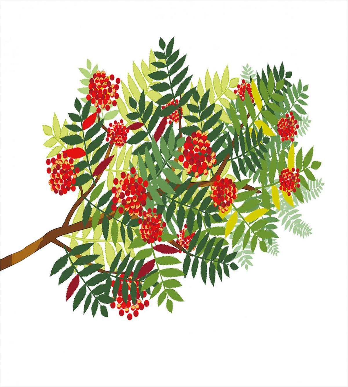 Graphic Tree Green Leaves — Pattern