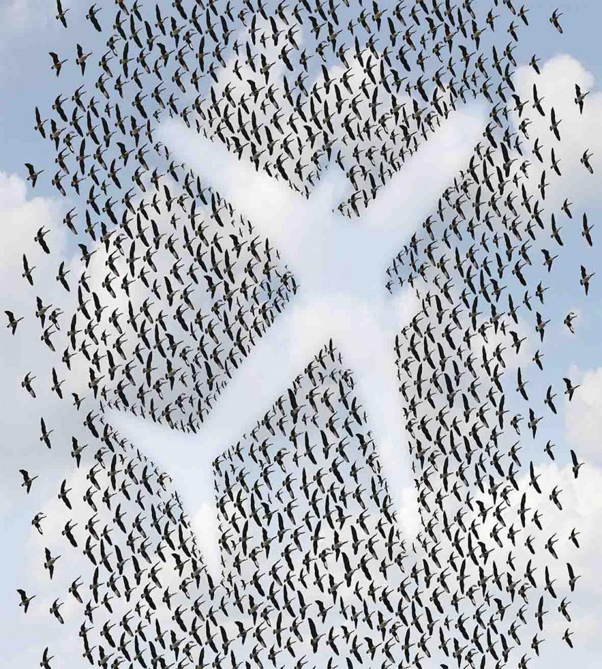 Hummingbird Vacation — Pattern