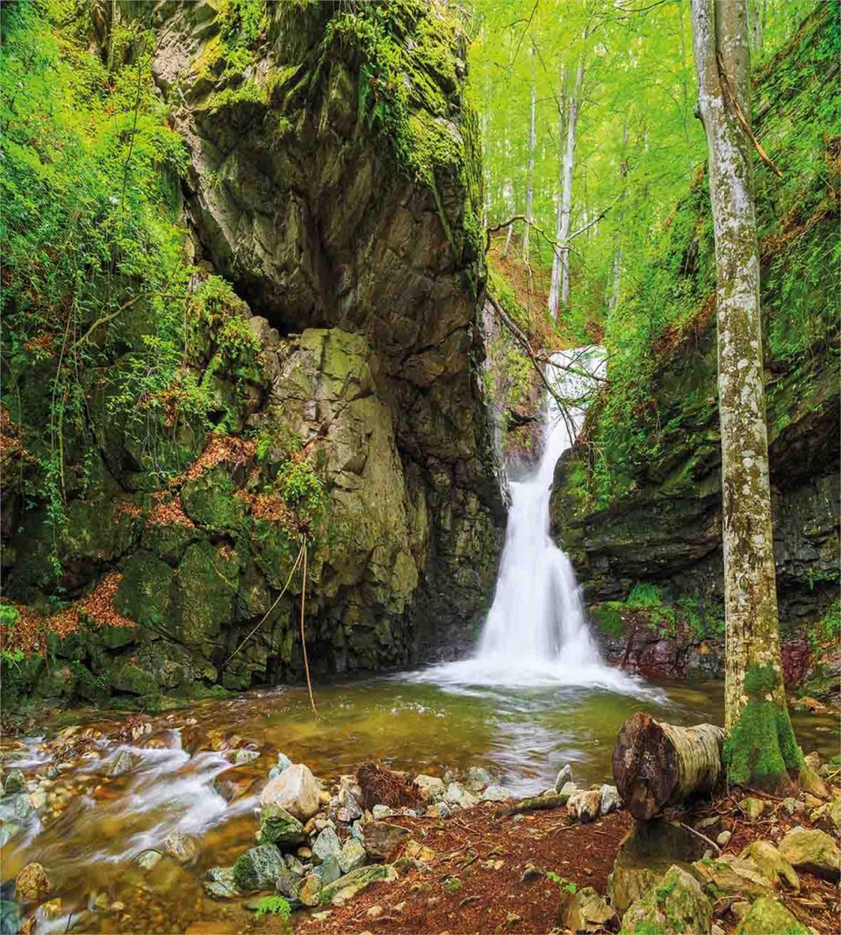 Spring Waterfall Nature — Pattern