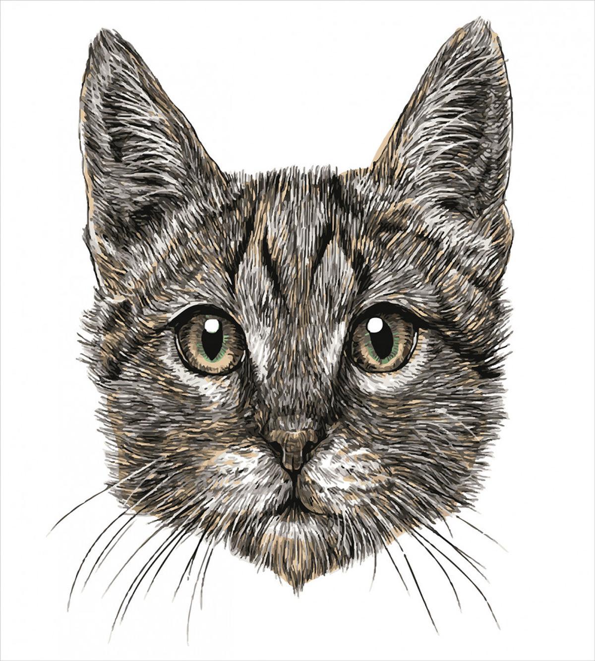 Sketchy Cat Head — Pattern