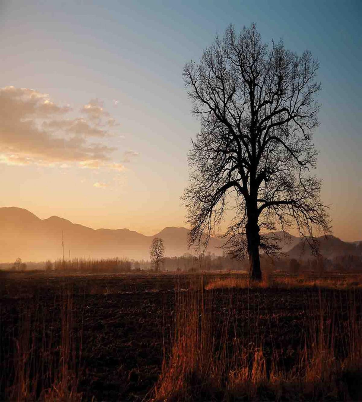 Countryside Autumn Dusk — Pattern
