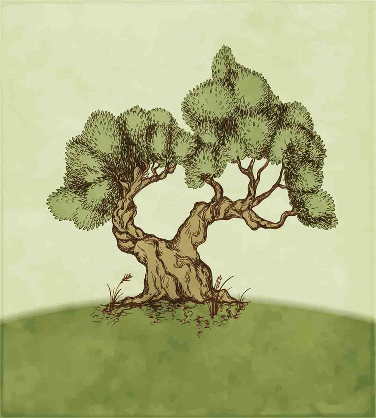 Spring Season Hills Olive — Pattern