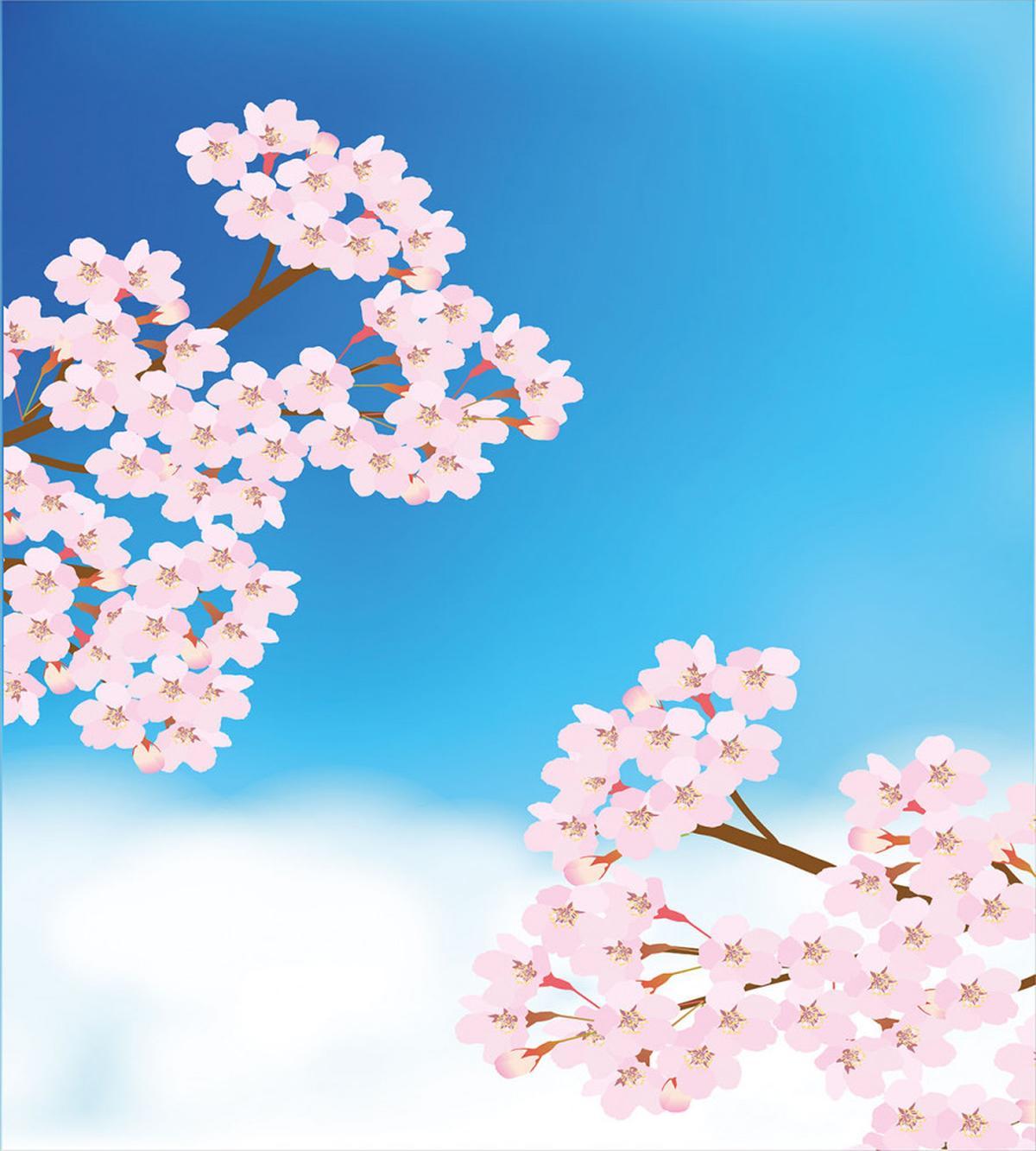 Cherry Blossom Sky — Pattern