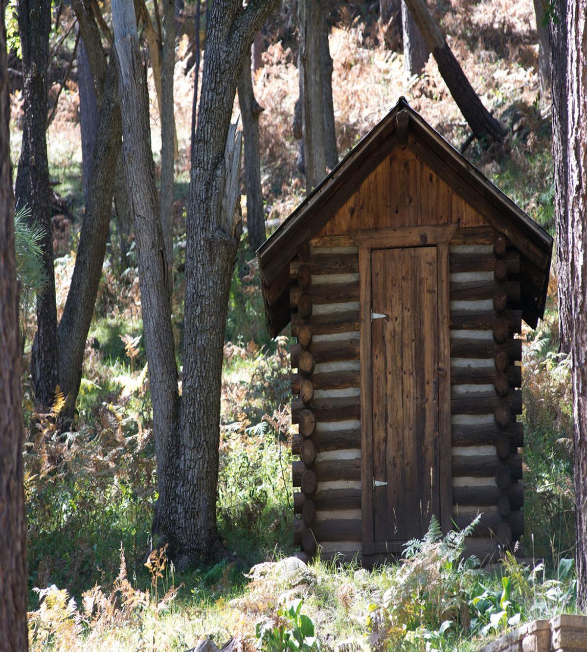 Cottage Spring Woods — Pattern