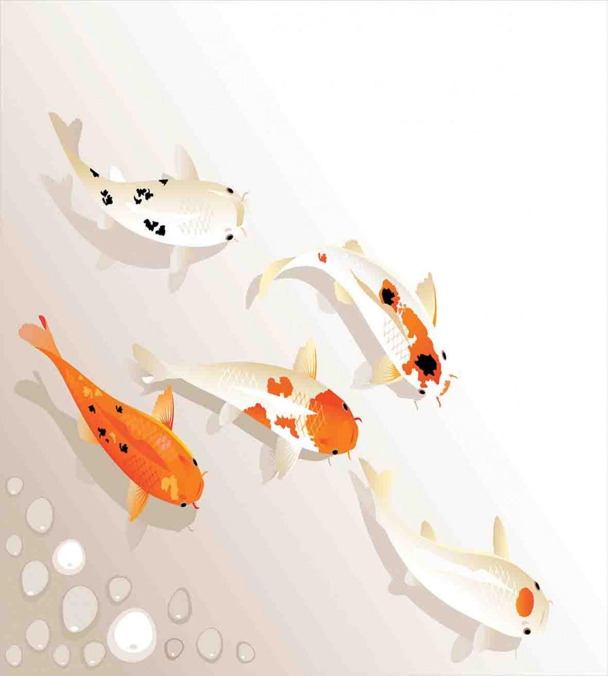 Traditional Spotted Koi Fish — Pattern