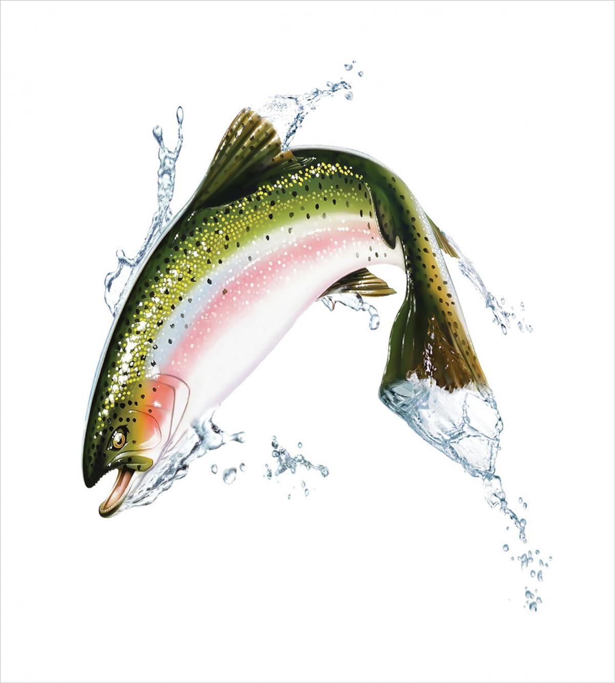 Salmon Photorealistic Art — Pattern