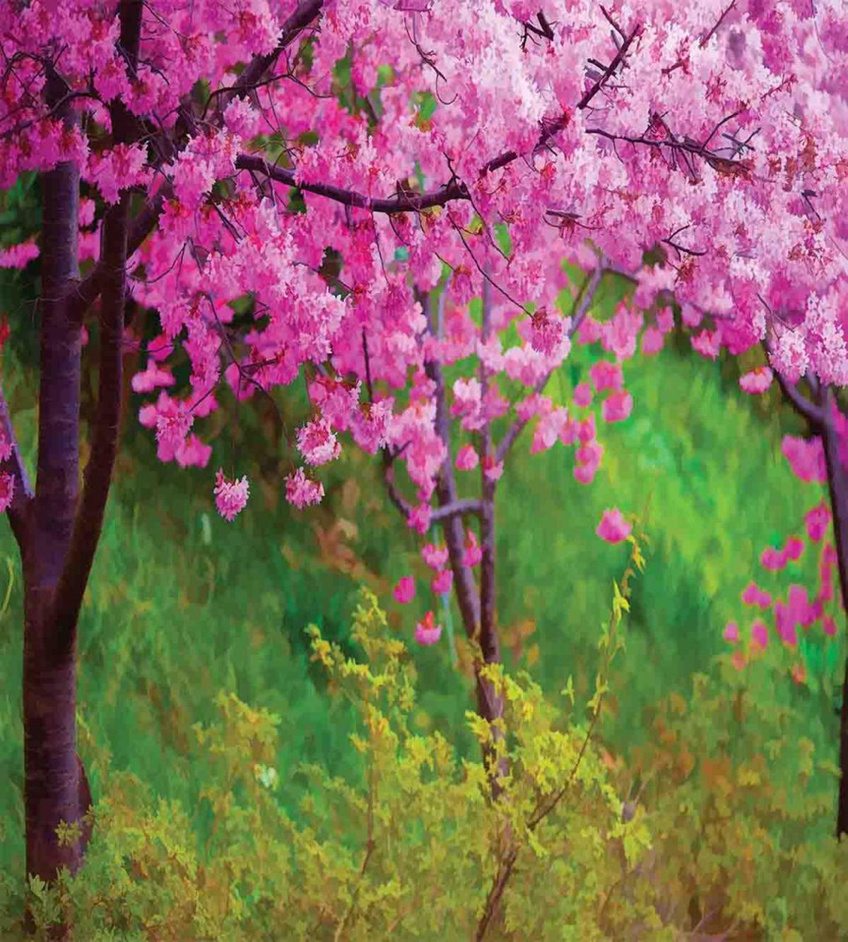 Spring Garden Landscape — Pattern