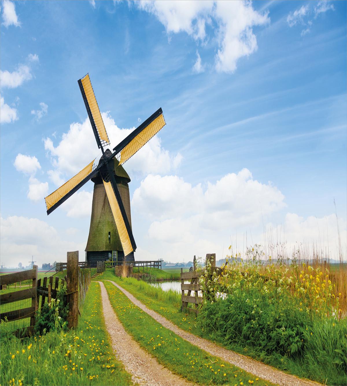 Holland in the Spring — Pattern