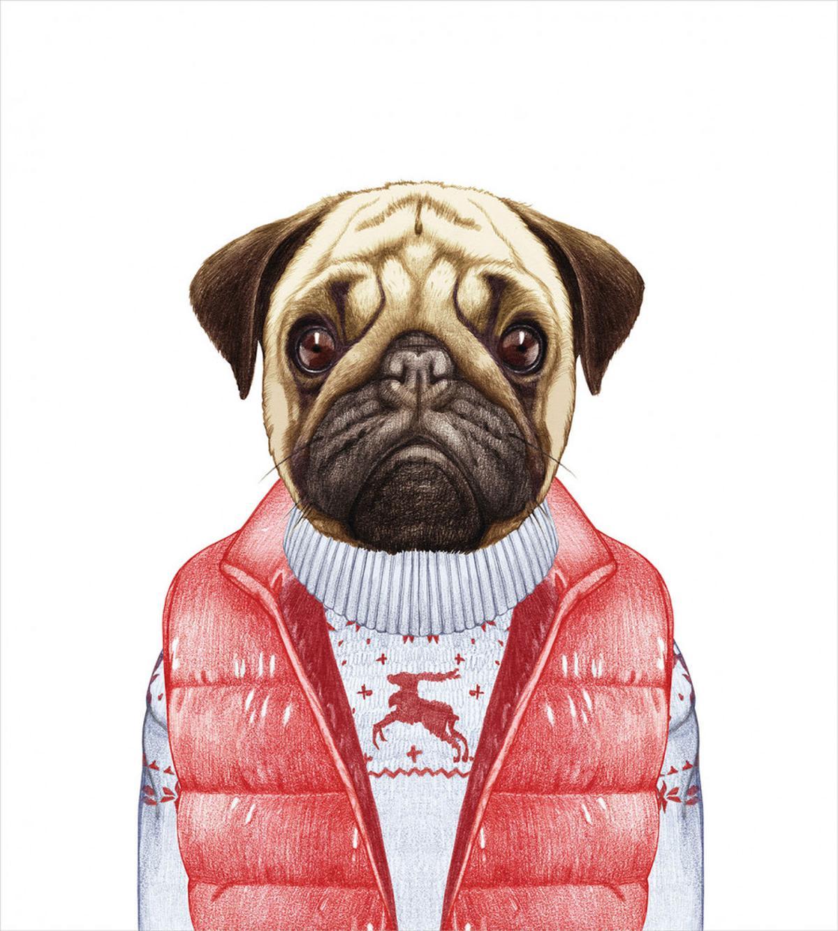 Red Vest Christmas Sweater — Pattern