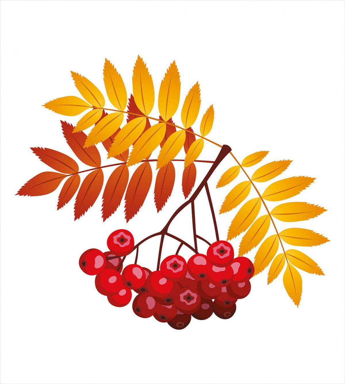 Rural Berries in Fall — Pattern