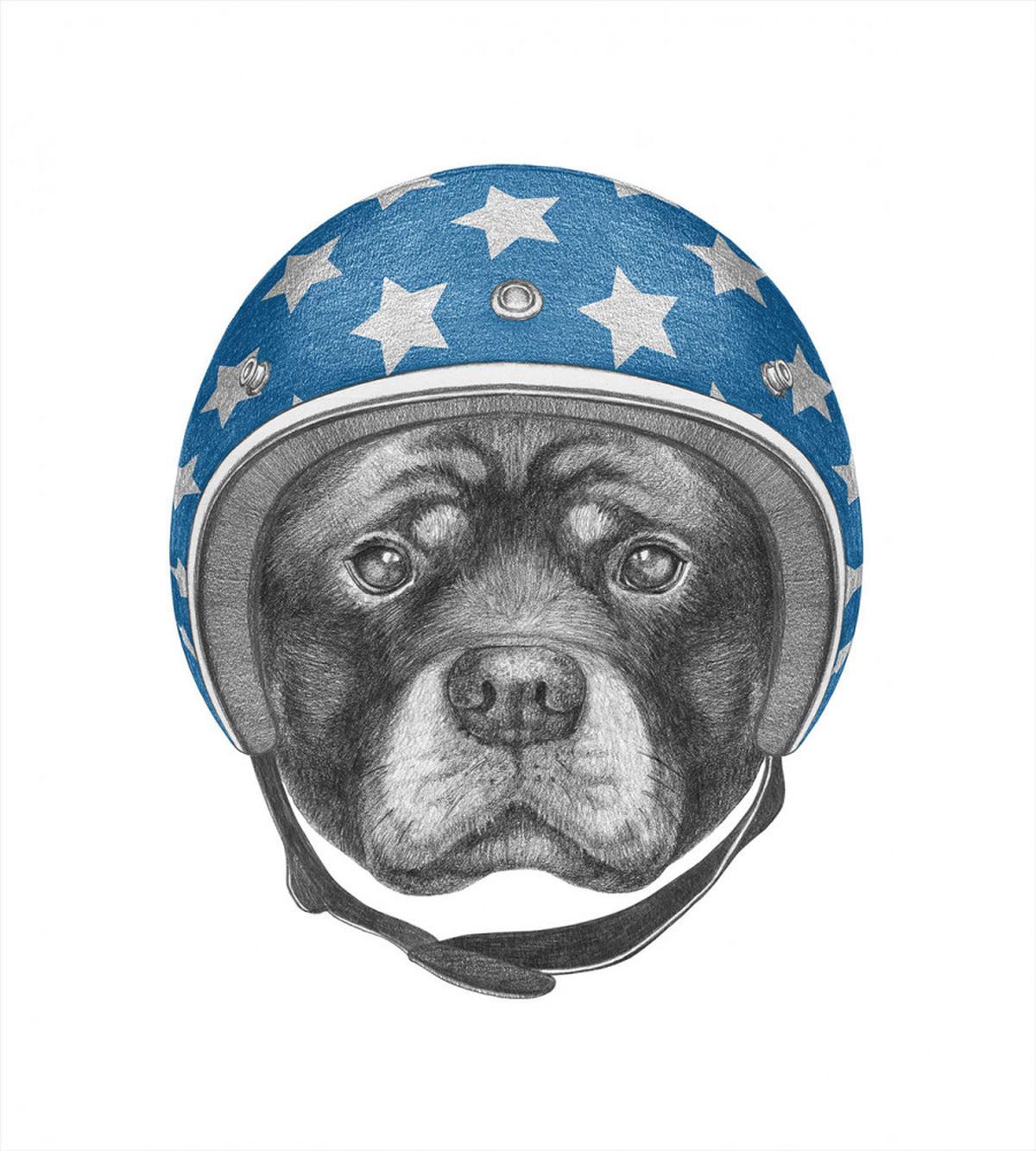 Dog in a Hard Hat Sketch — Pattern