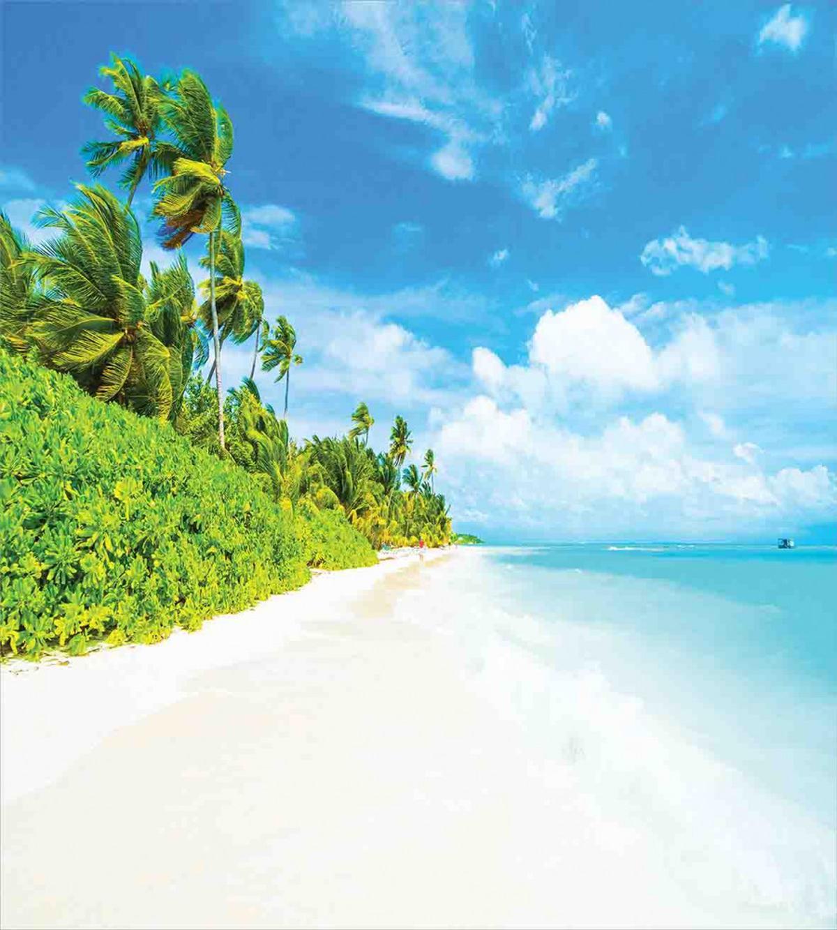 Beach Sea Exotic Palms — Pattern
