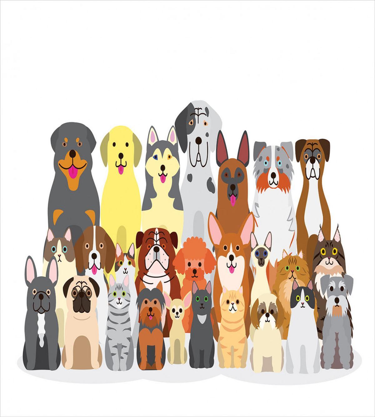 Animals Cartoon — Pattern