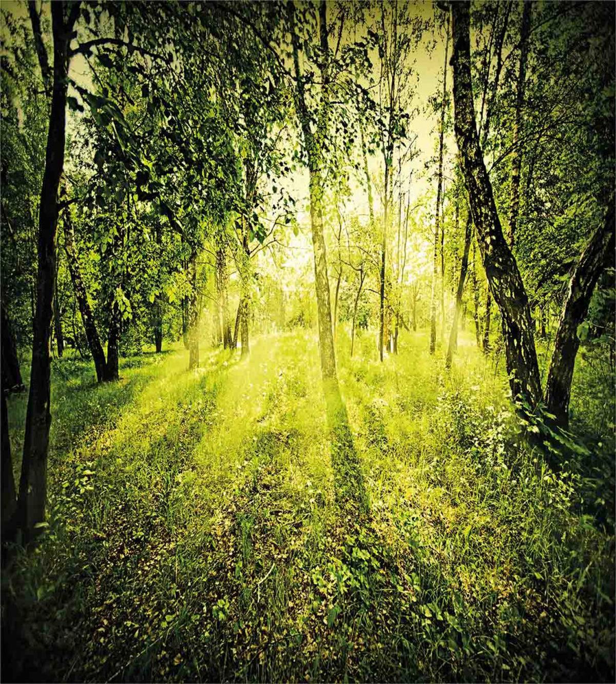 Scenic Morning in Nature — Pattern