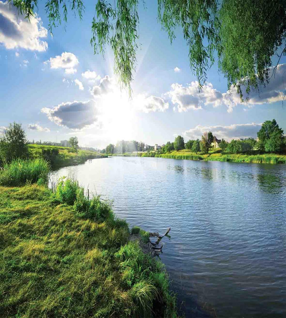 Calm River in Summer — Pattern