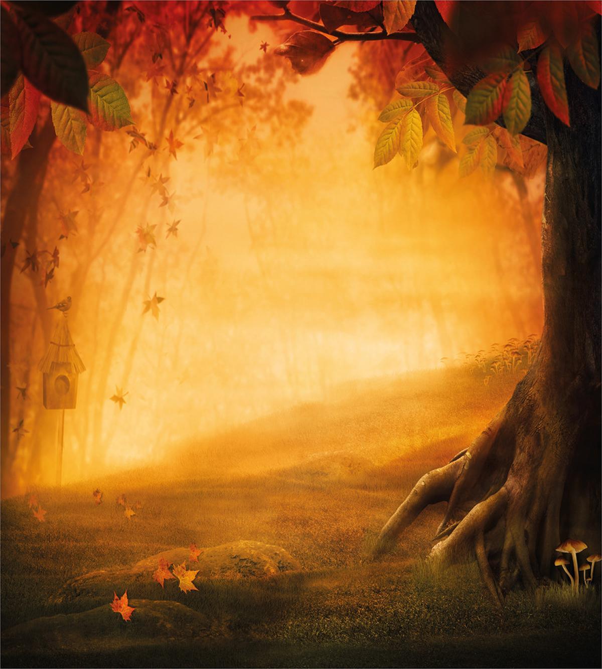 Mysterious Valley Forest — Pattern