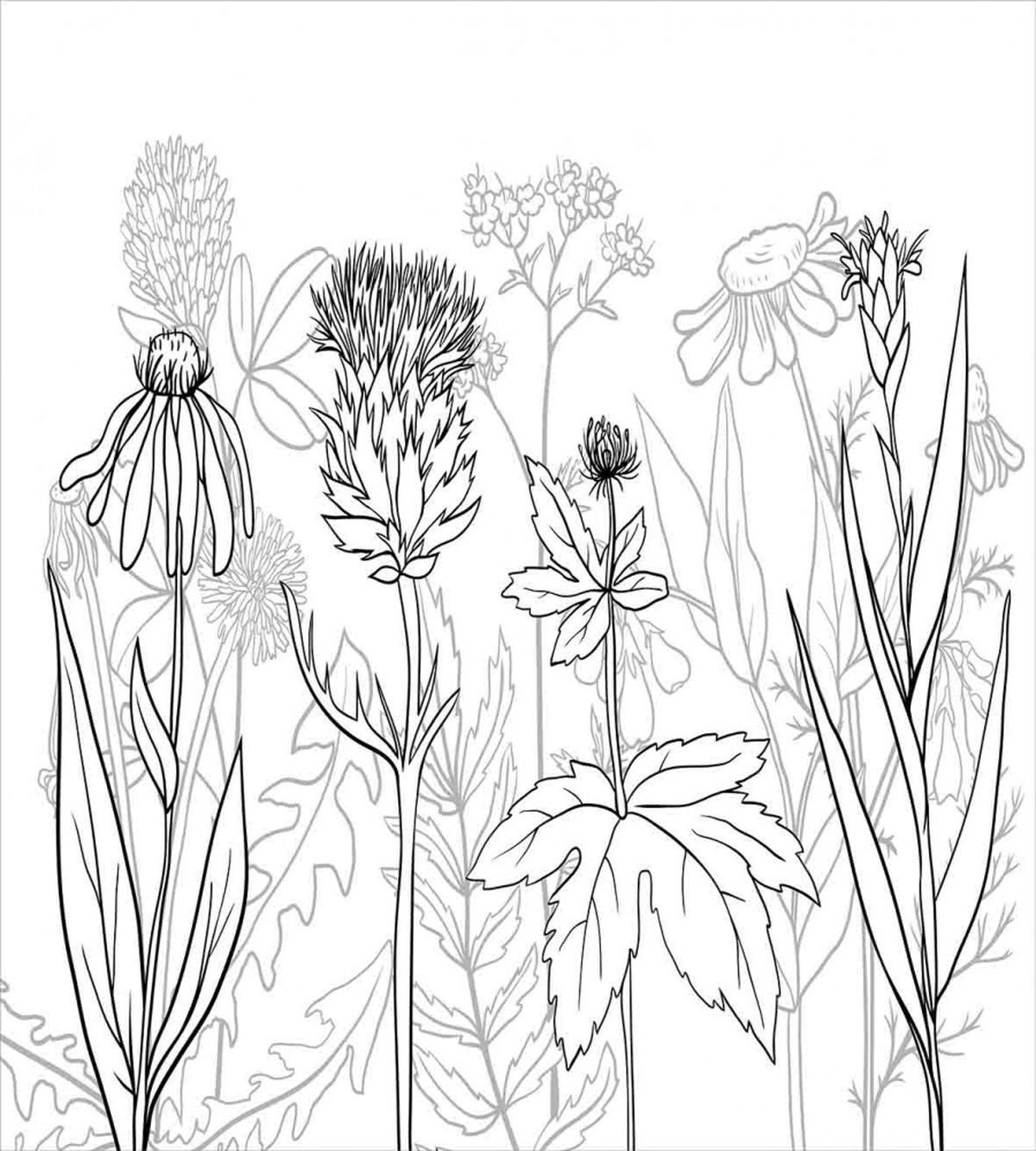 Medical Herbs Pattern — Pattern