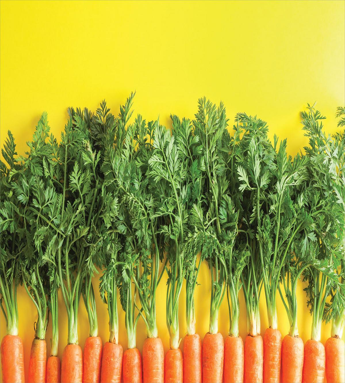 Carrots in a Row Art — Pattern