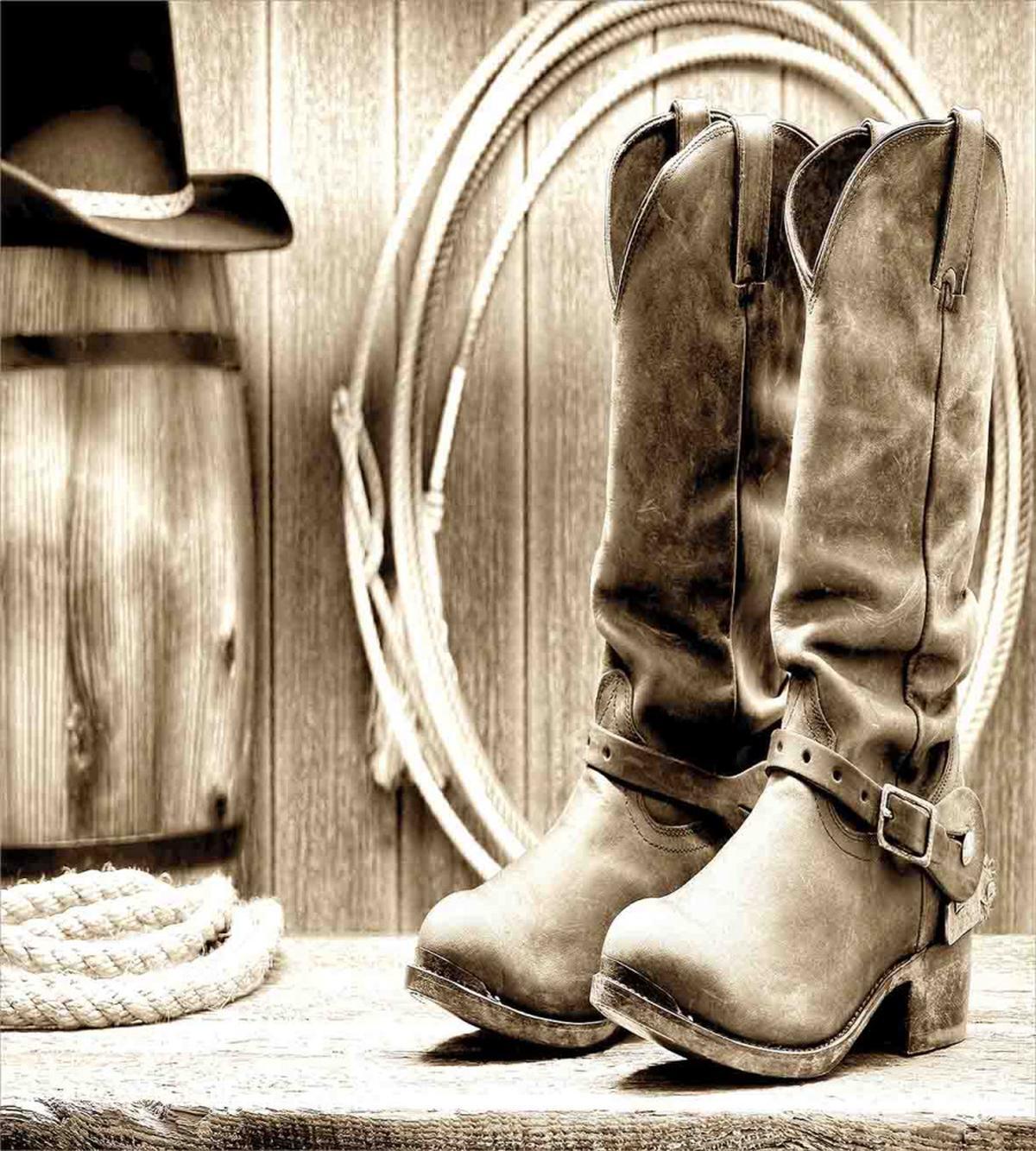 Wild Vintage Rodeo — Pattern