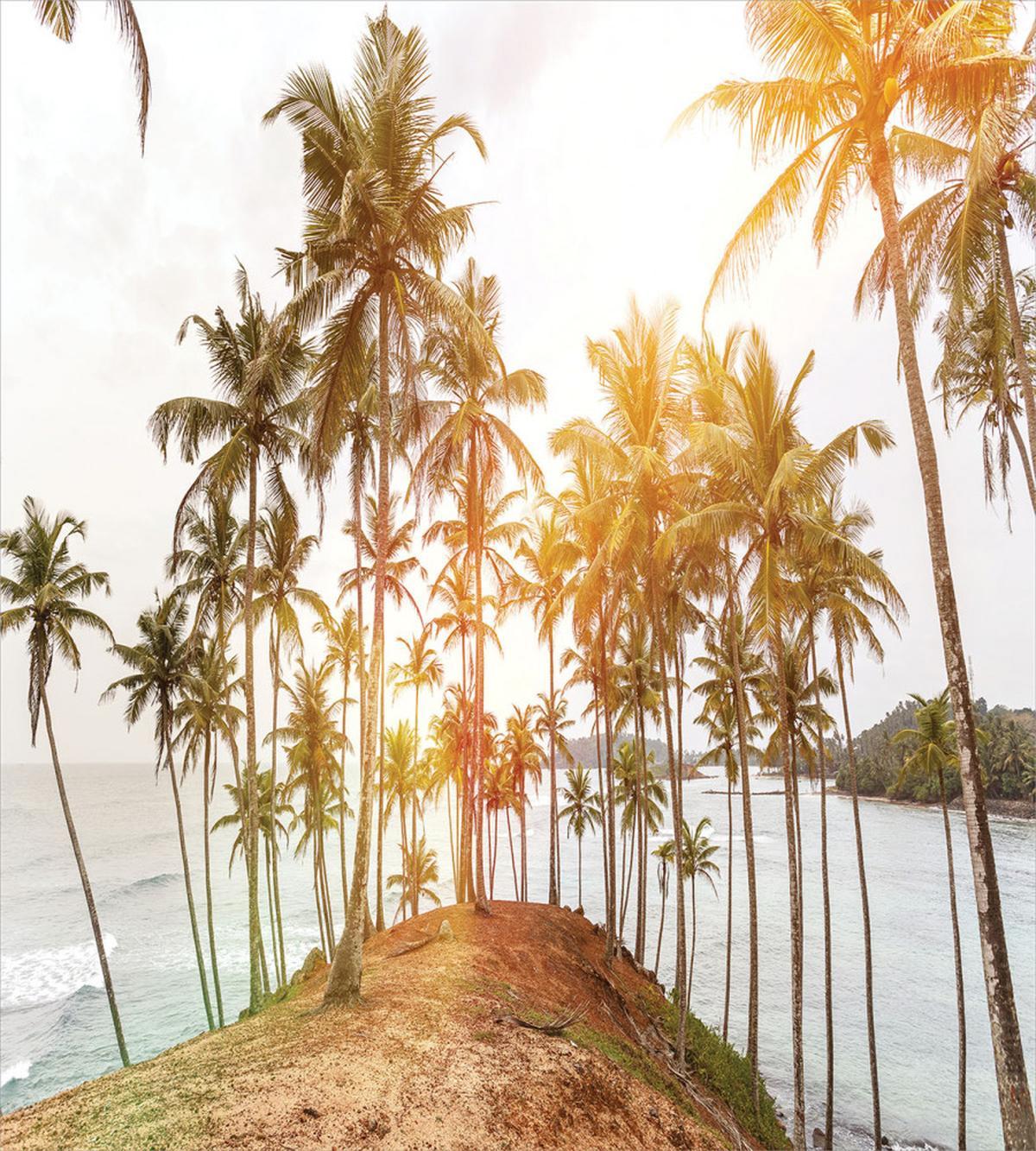 Sunbeams Hitting an Island — Pattern