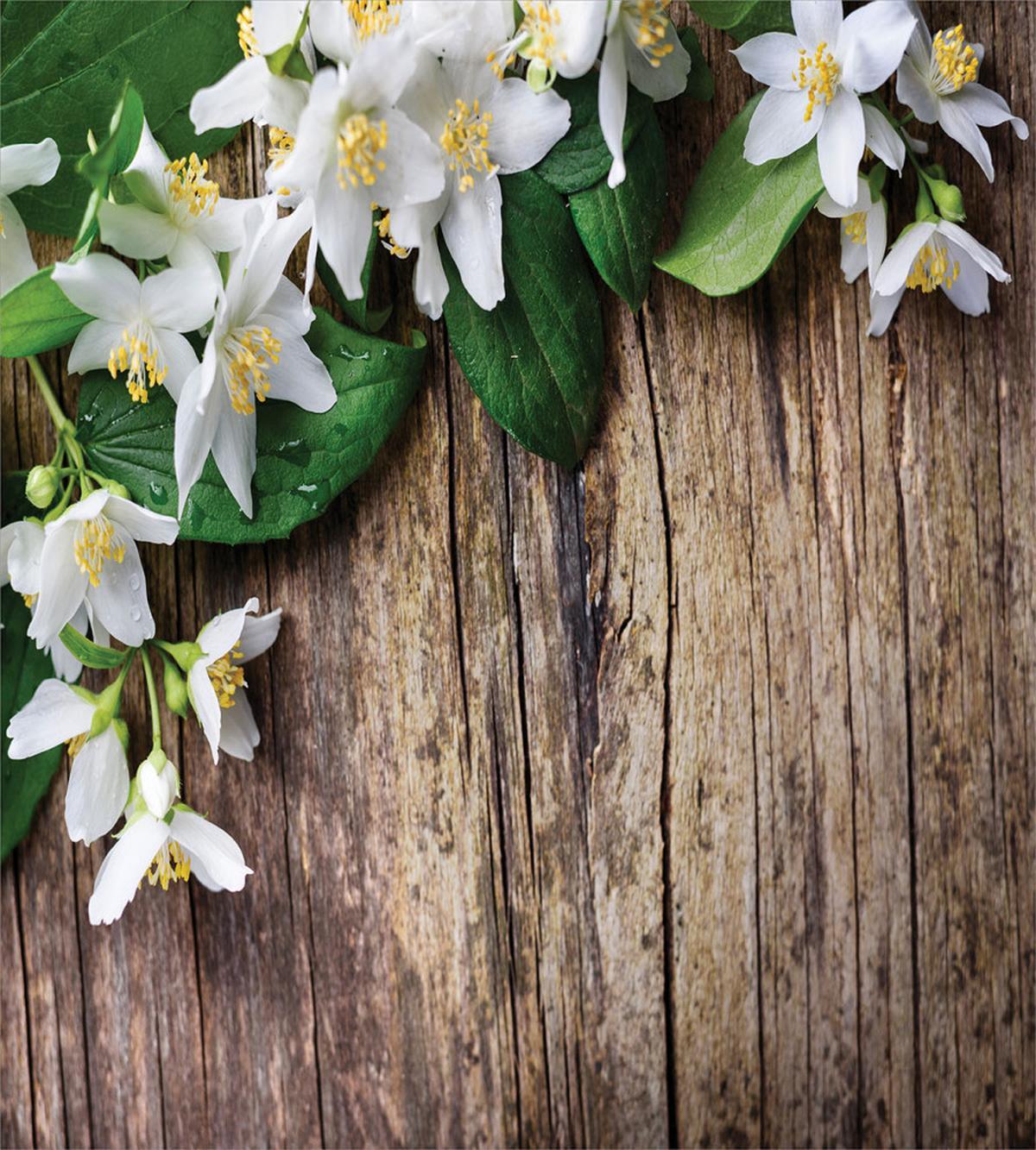 Jasmine Flower Retro — Pattern
