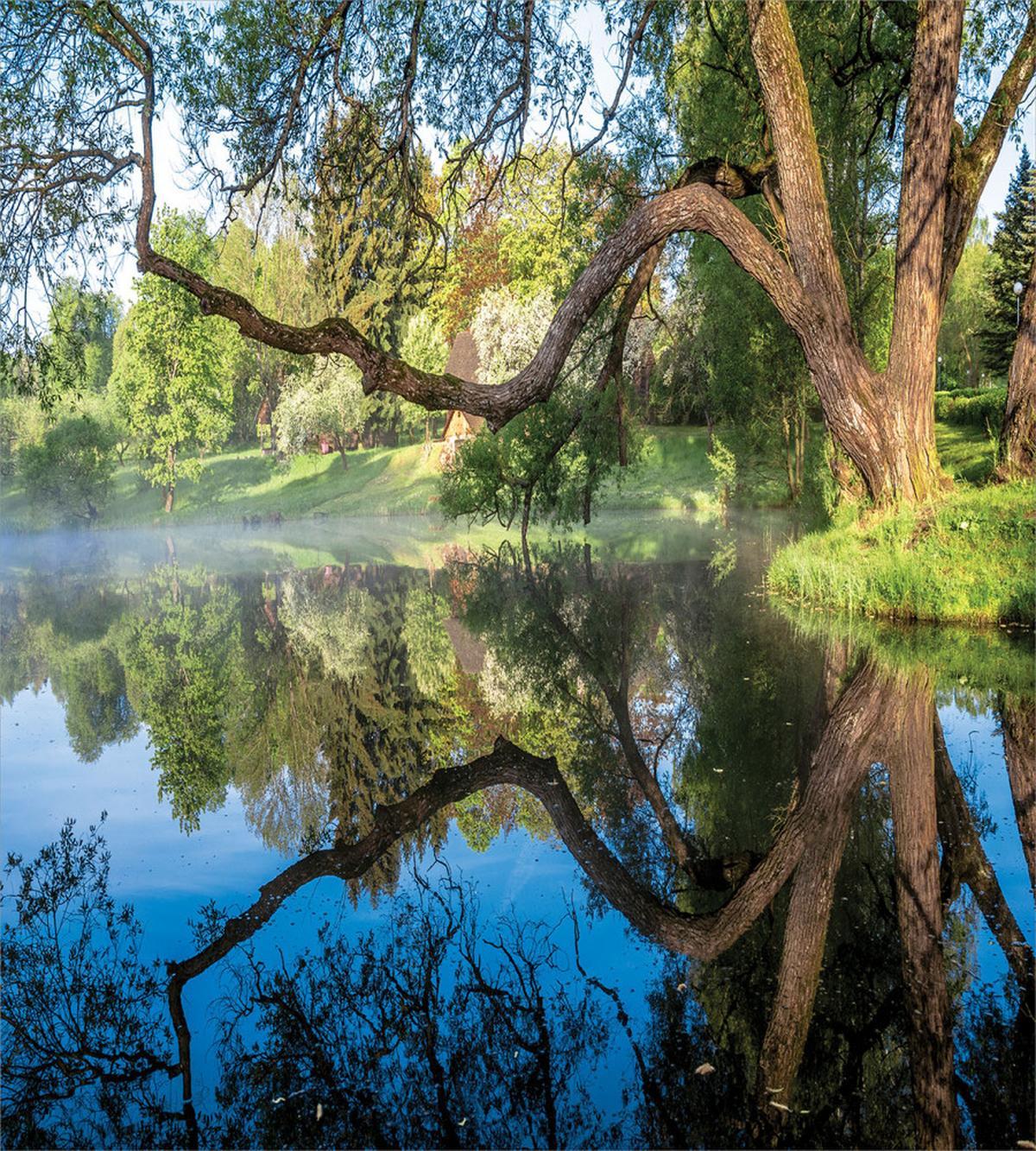 Foggy Scene over Water — Pattern