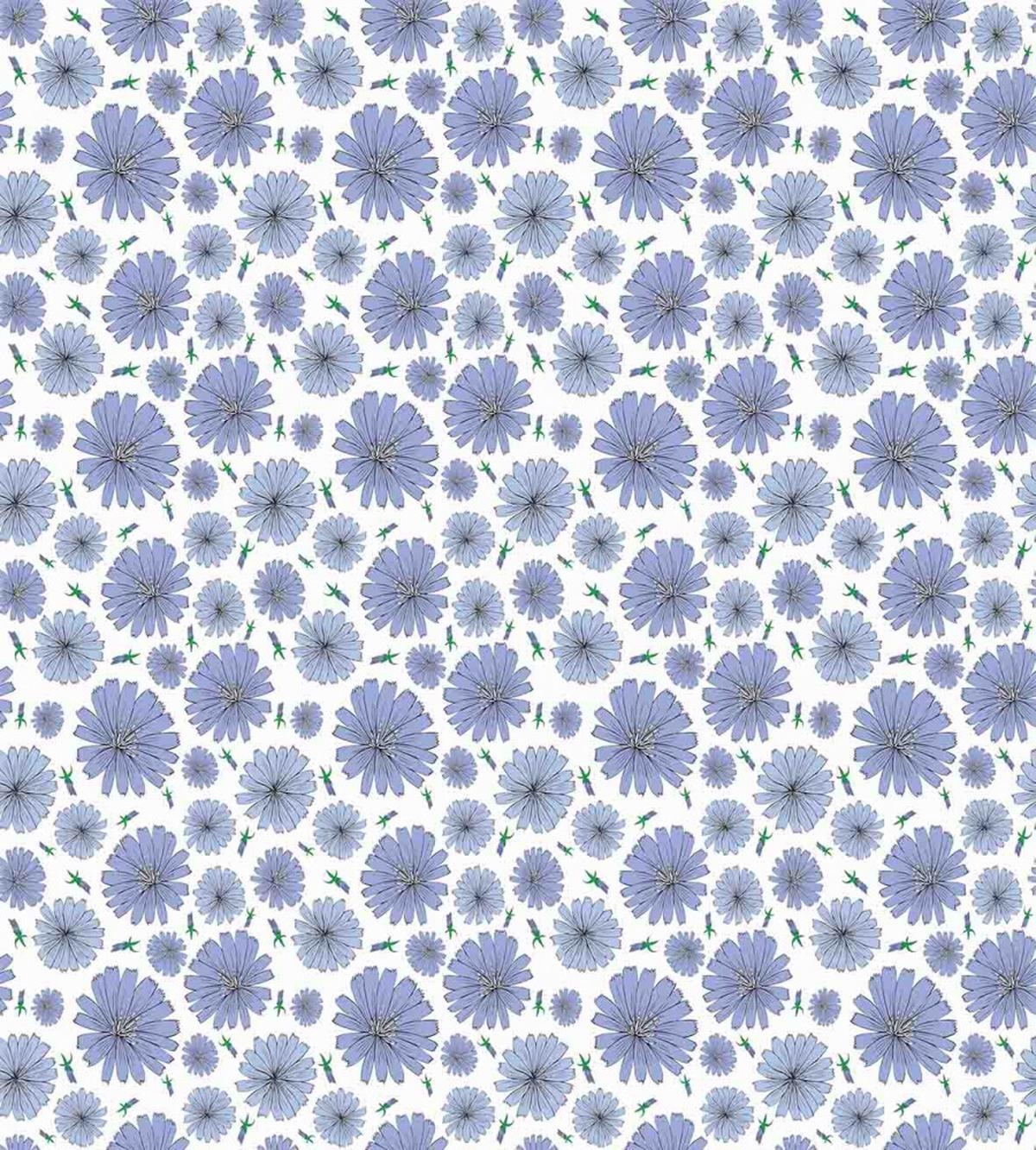 Chicory Flower Pattern Buds — Pattern