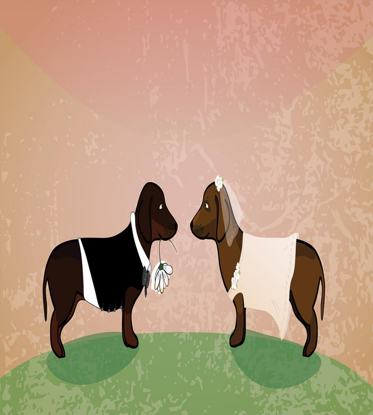 Cartoon Dog Marriage — Pattern