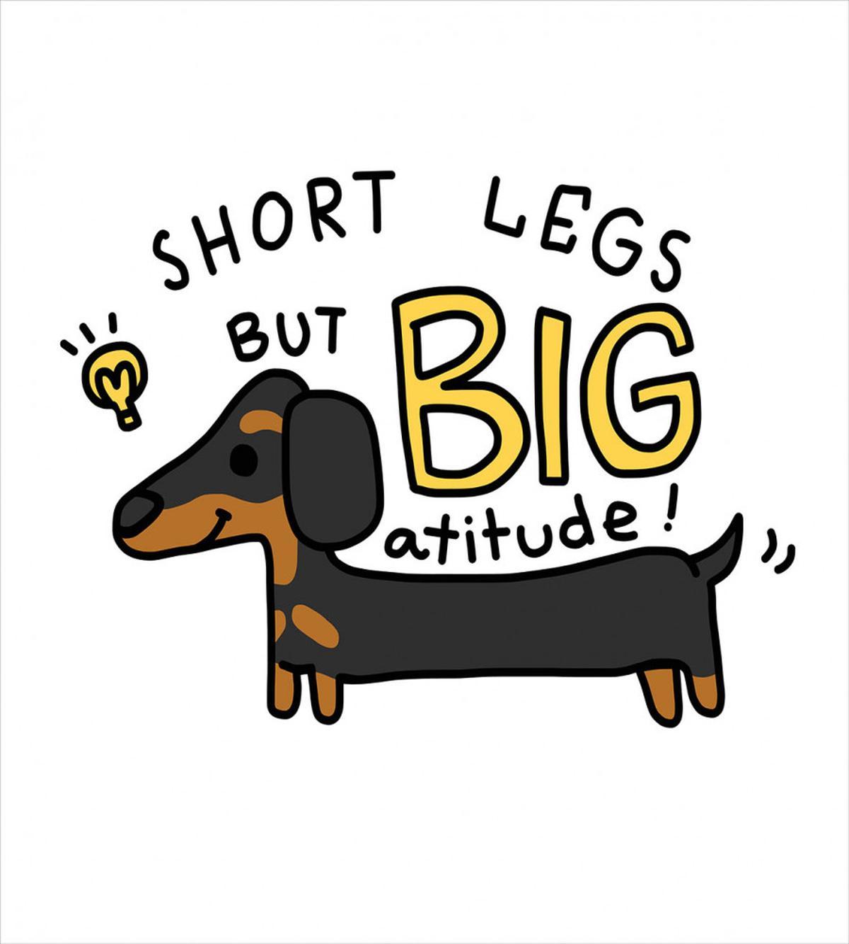 Short Legs Big Attitude — Pattern