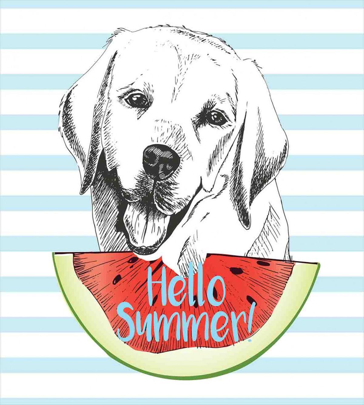 Hello Summer Words Sketch — Pattern